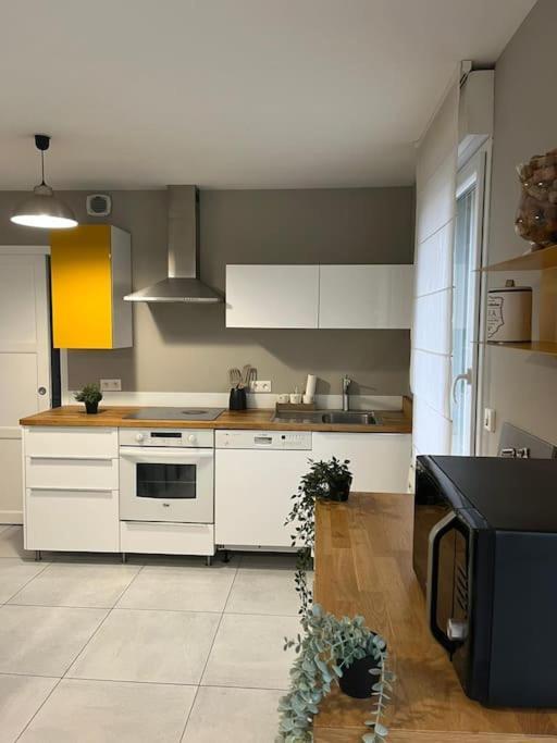 La Maison Du Bonheur 70 M² Saint-Amand-les-Eaux Exteriör bild